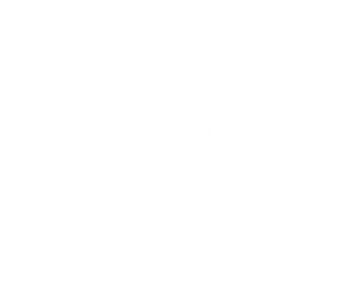 TZ Coatings